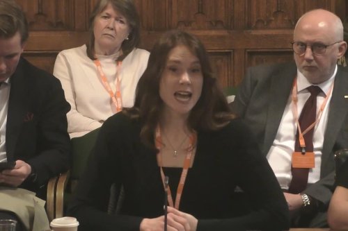 Kate Nash tells MPs: I sell pictures of my bum on the internet to fund my tour