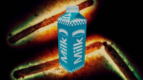 Bird Flu Watch: A Chronicle of Contagion - cover